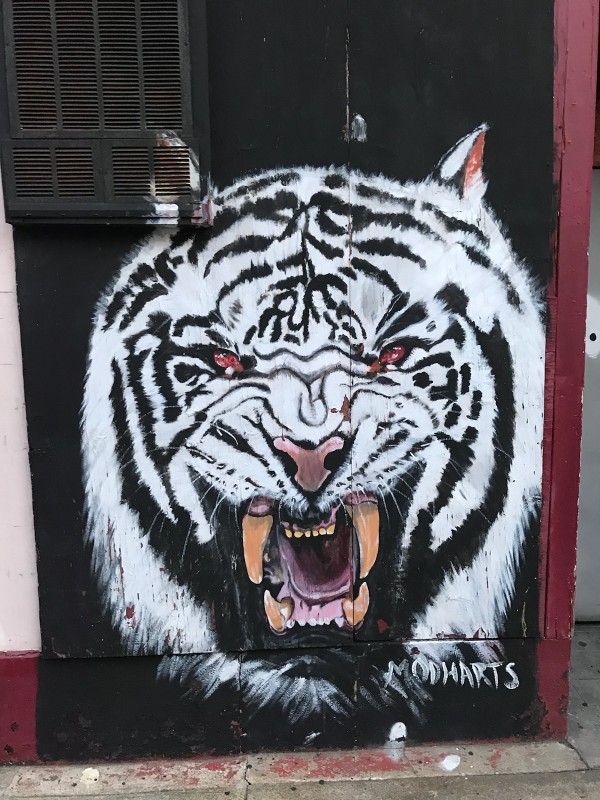 art5